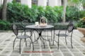 Patio Furniture Iron Dining Set Table & Chair (BZ-DS018) 3