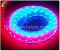 HIGH VOLTAGE LED FLEX STRIP 1