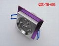 LED Ceililng light 5