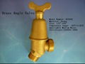 angle valve 2