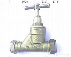 globe valve