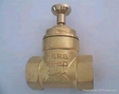 globe valve 2