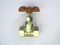 globe valve 3