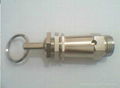 safety valve