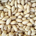 blanched peanuts 