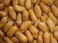 roasted&salted peanuts 5