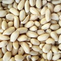 blanched peanuts  3
