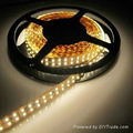 Double Lines IP68 24V 96W SMD3528 1200leds Strip Light  4