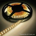 Double Lines IP68 24V 96W SMD3528 1200leds Strip Light  2