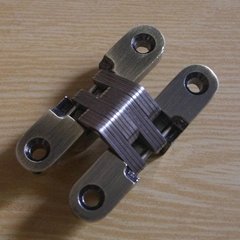 Stainless Steel Invisible Hinge