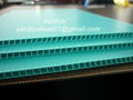 Polypropylene PP Corrugated Plastic Sheet