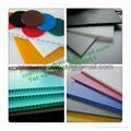 Plastic Twin Wall Sheet,Cartonplast Plastic Sheet