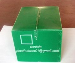 Plastic Vegetable Box, PP Fruit Box