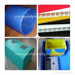 Correx Box, Cartonplast Box, Fluted