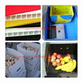 Corrugated Plastic Boxes for vegetables