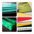 Plastic Twin Wall Sheet,Cartonplast Plastic Sheet 3