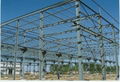 steel structure plant 4