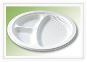 biodegradable disposable tray
