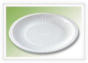 biodegradable disposable tray 4
