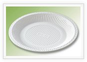 biodegradable disposable tray 5