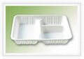 biodegradable tableware 2