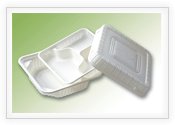 biodegradable tableware 5