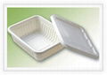 biodegradable noodle soup container 1