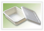 biodegradable noodle soup container