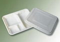 biodegradable noodle soup container 3