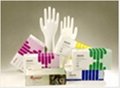 Pre-Powdered Latex Examination Glove (Size: S,N,L,XL) 1