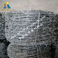 stainless steel wire mesh 3