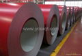 Prepainted galvanized steel coil PPGI 1