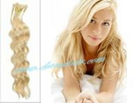 100% human hair weft