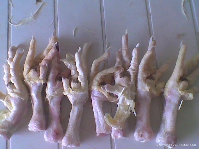 unprocessed frozen chicken feet  1