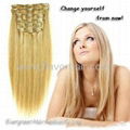 Clip-in Hair Extensions