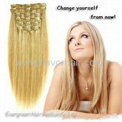 Clip-in Hair Extensions