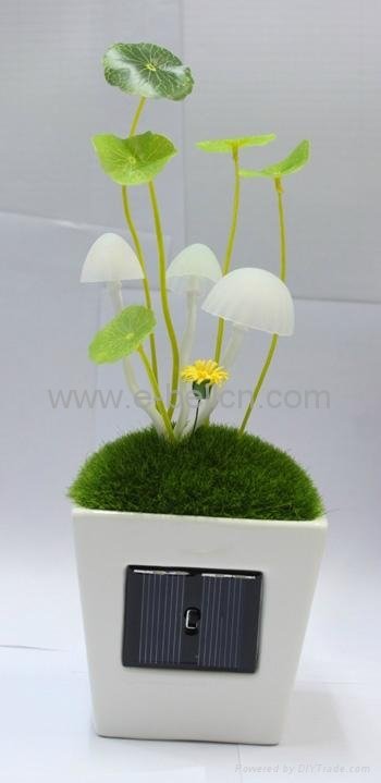 Avatar Solar Mushroom lamp 4