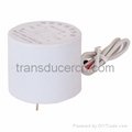 protection current transformer (voltage output type) 1