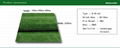 Quality Brand-Name Artificial Grass for Lawns, Landscaping and Parks (With thatc 1