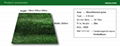 Good Quality Leisure Grass - Artificial Turf 1