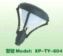 Energy-saving Induction garden lamp (electrodeless) 3