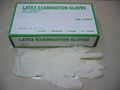 Latex Examination Gloves 1