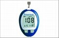 Blood Glucose Meter 1