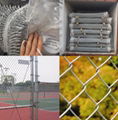 Galvanized Chain Link Fence 2
