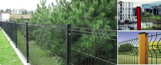 Wire Mesh Fence