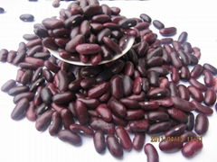 red kidney beans