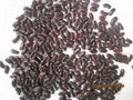 dark red kidney beans 3