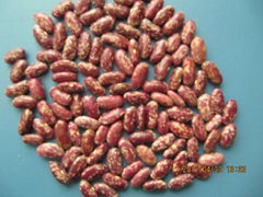 red speckled kidney beans