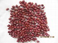 small red kidney beans