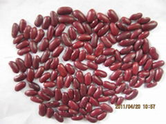 dark red kidney beans